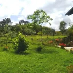 Laendliches Haus Medulas 2- Fuer 4 Pax Belegbar By Interhome Carucedo